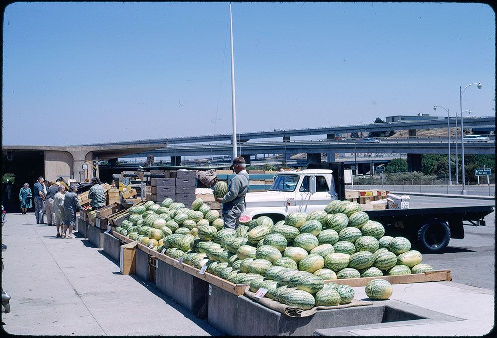 Watermelons