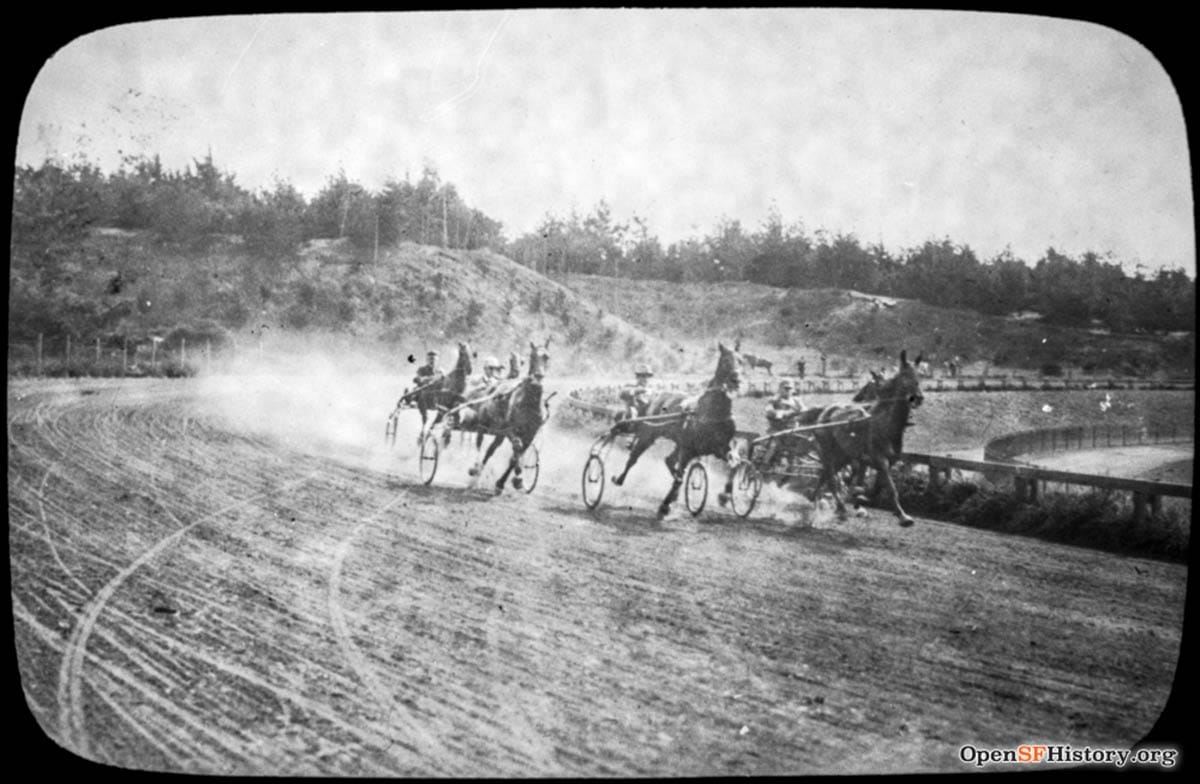 harness racing