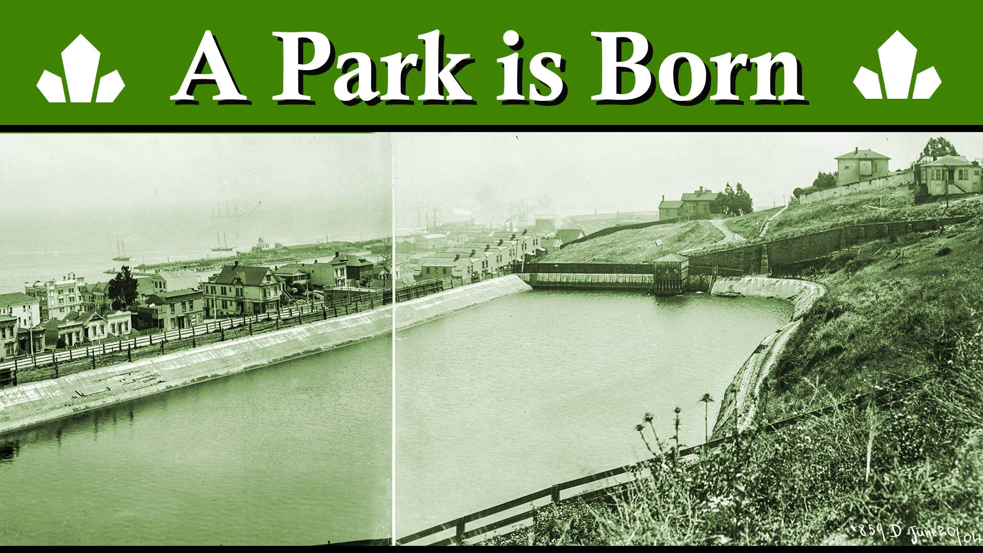 A Park is Born