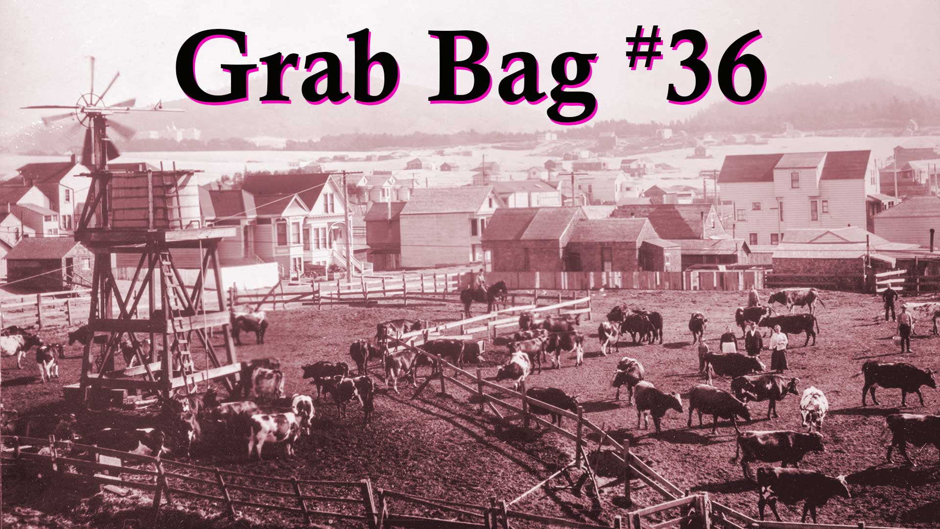 Grab Bag #36